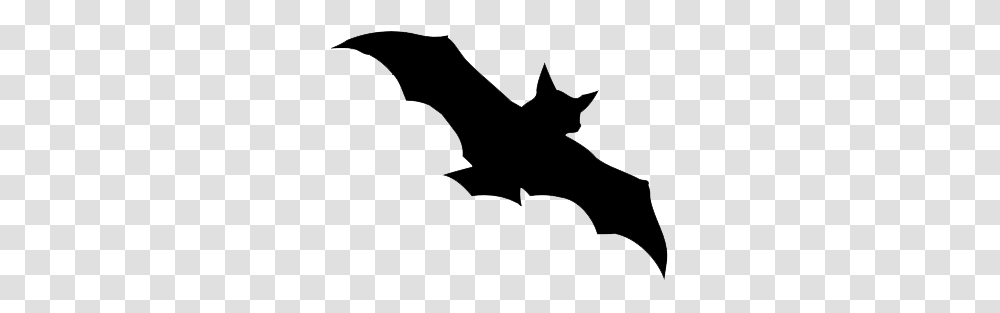 Bat, Animals, Wildlife, Mammal, Cat Transparent Png