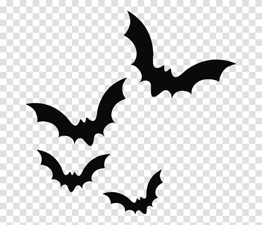 Bat, Animals, Wildlife, Mammal Transparent Png