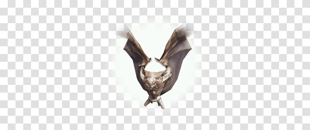 Bat Bdo Codex Bat, Statue, Sculpture, Art, Mammal Transparent Png