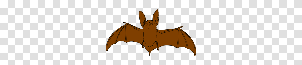 Bat Clipart Orange, Wildlife, Animal, Mammal, Tent Transparent Png