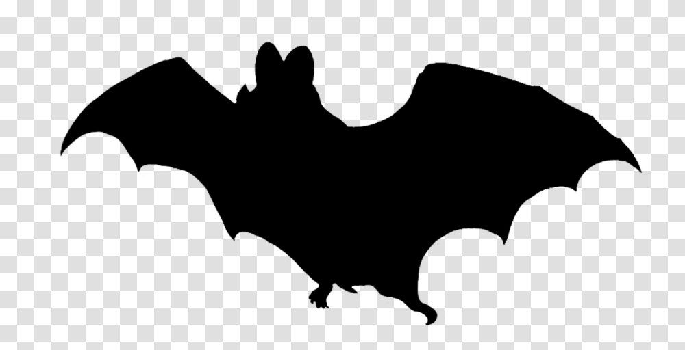 Bat Clipart, Silhouette, Animal, Mammal, Dinosaur Transparent Png