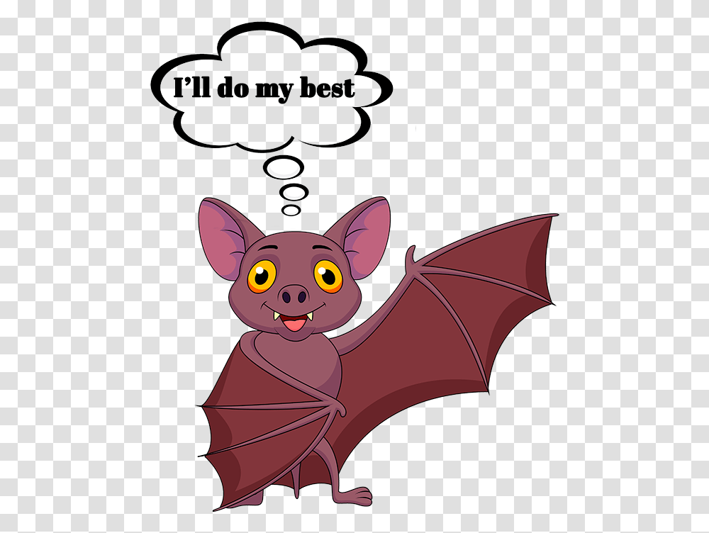 Bat Facts Experts Of Maine Midcoast Wildlife Specialists, Mammal, Animal Transparent Png