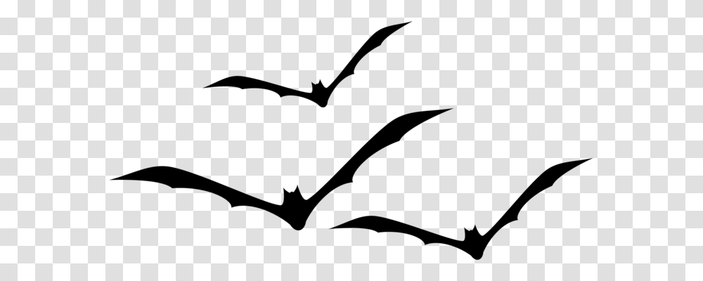 Bat Flight Silhouette Logo, Gray, World Of Warcraft Transparent Png