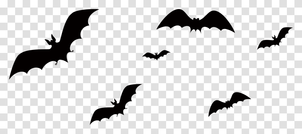 Bat Halloween Bat Silhouette, Bird, Animal, Wildlife Transparent Png