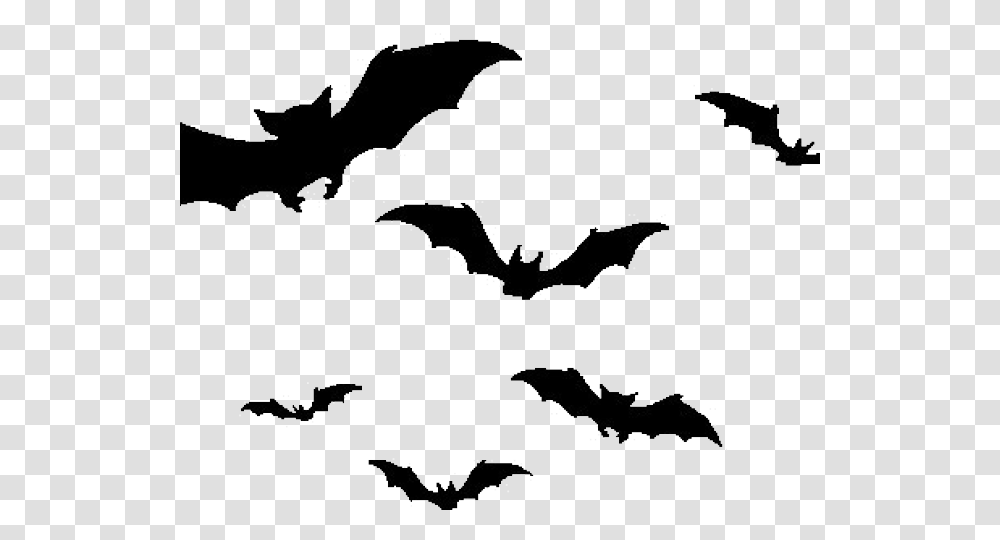 Bat Images Bat Silhouette, Nature, Outdoors, Night, Ice Transparent Png