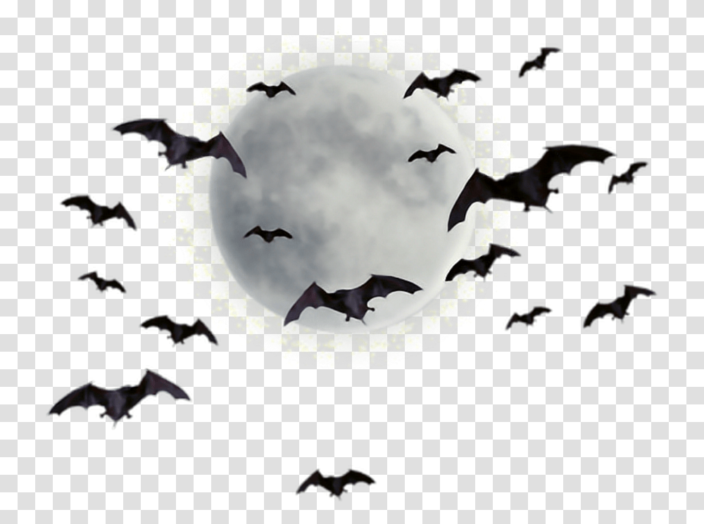 Bat Images Moon And Bats, Bird, Animal, Mammal, Wildlife Transparent Png