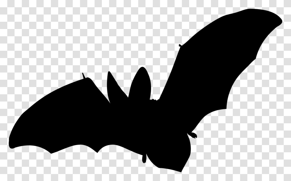 Bat Mammal Flying No Background Vector Fledermaus Aufkleber, Gray, World Of Warcraft Transparent Png