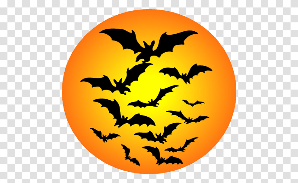 Bat Moon Background Image Arts Halloween Clip Art, Bird, Animal, Symbol, Batman Logo Transparent Png