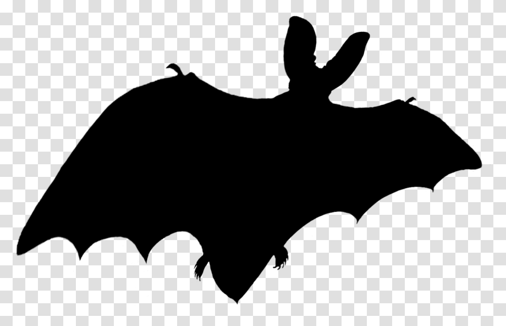 Bat Shadow Bat Shadow, Gray, World Of Warcraft Transparent Png