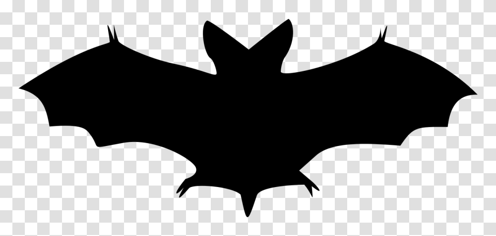 Bat Shadow Black, Gray, World Of Warcraft Transparent Png