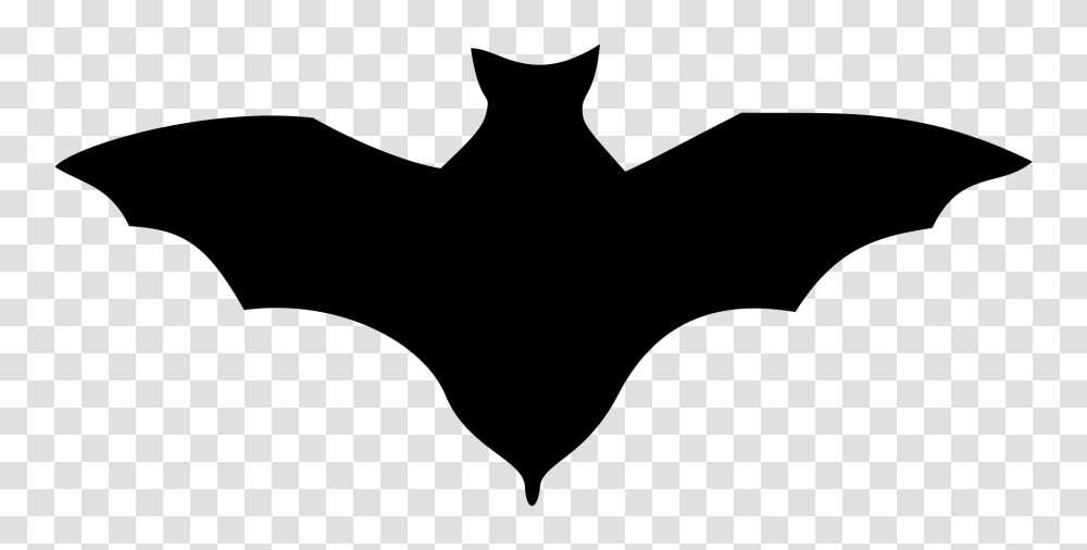 Bat Shadow, Gray, World Of Warcraft Transparent Png