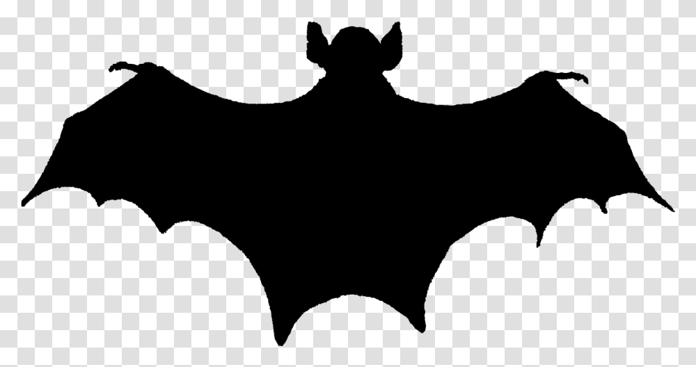 Bat Silouete, Gray, World Of Warcraft Transparent Png