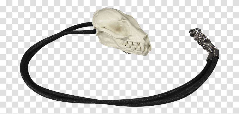 Bat Skull Necklace Pin Wire, Animal, Sea Life, Invertebrate, Food Transparent Png