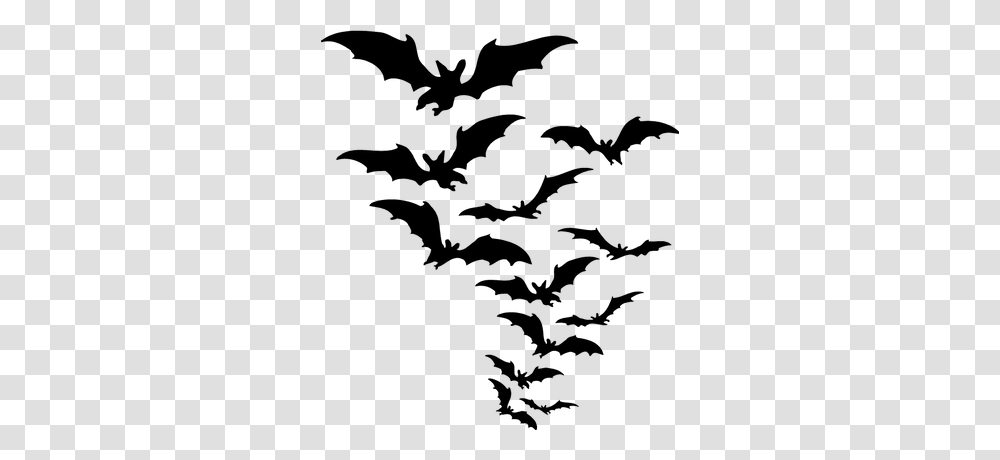 Bat Solo, Silhouette, Bird, Animal, Dragon Transparent Png