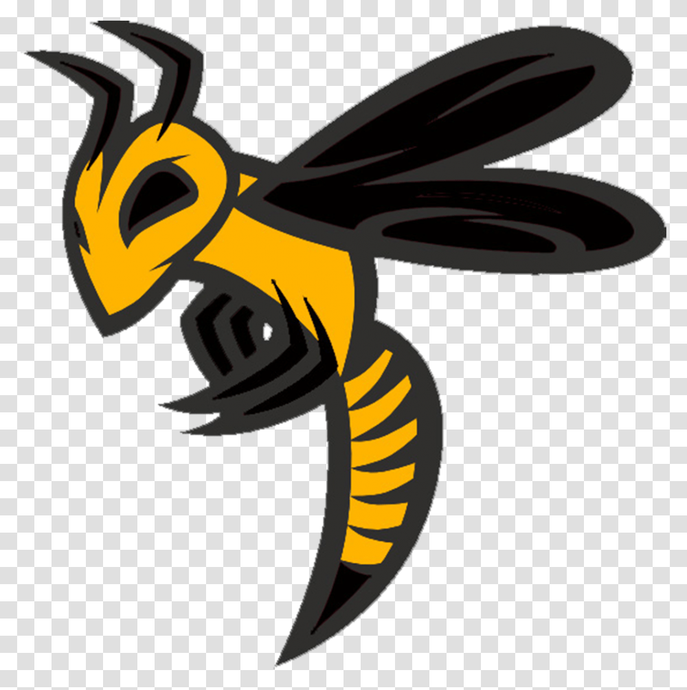 Bat Swarm Ohio Swarm 8u Baseball, Wasp, Bee, Insect, Invertebrate Transparent Png