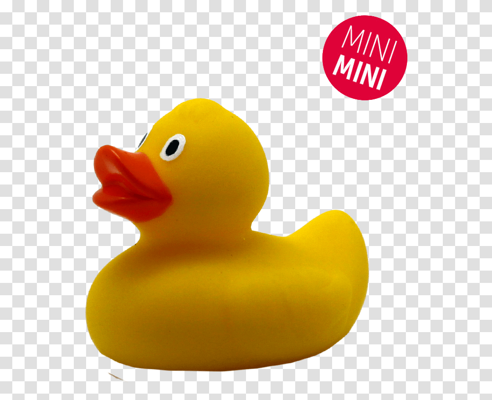 Bath Toy, Duck, Bird, Animal, Furniture Transparent Png
