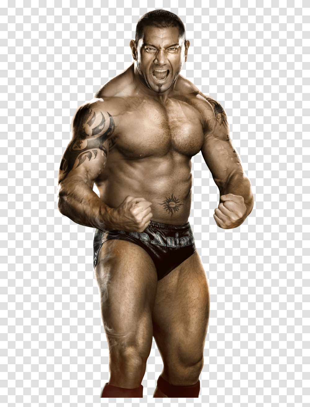 Batista Batista Wwe, Skin, Arm, Person, Human Transparent Png
