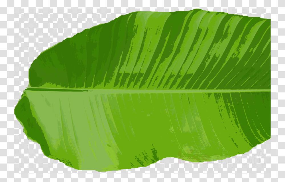 Batman Logo, Leaf, Plant, Veins, Green Transparent Png