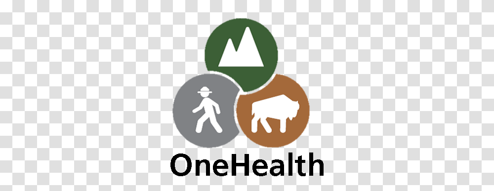 Bats And People Bats Us National Park Service Find Health Clinic, Symbol, Recycling Symbol, Road, Logo Transparent Png