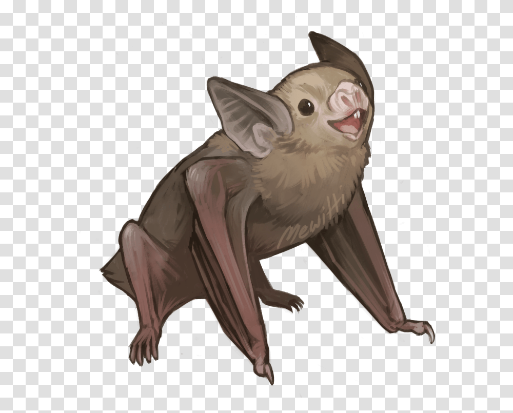 Bats Drawing Realistic Vampire Bat Drawing, Mammal, Animal, Wildlife, Bird Transparent Png