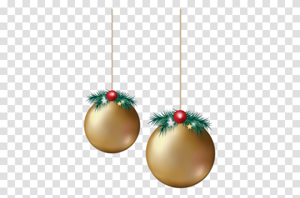 Bauble, Holiday, Ornament, Tree, Plant Transparent Png