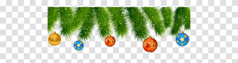 Bauble, Holiday, Tree, Plant, Conifer Transparent Png