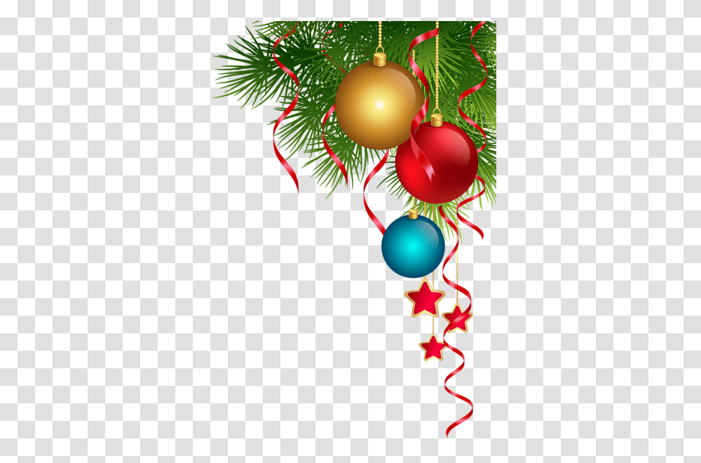 Bauble, Holiday, Tree, Plant, Conifer Transparent Png