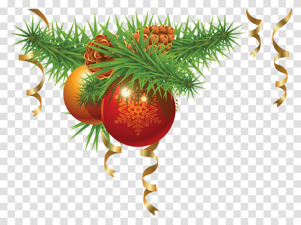 Bauble, Holiday, Tree, Plant, Conifer Transparent Png