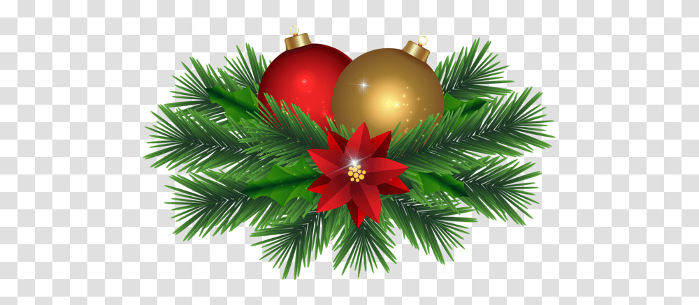 Bauble, Holiday, Tree, Plant, Ornament Transparent Png
