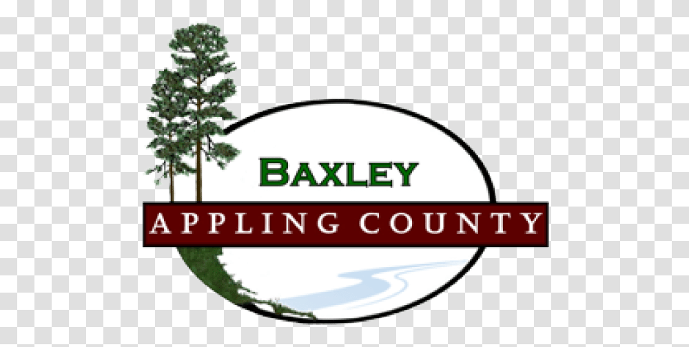 Baxley Entering Hgtv's Hometown Takeover Contest Z 94 L Appling County Ga, Plant, Tree, Vegetation, Outdoors Transparent Png