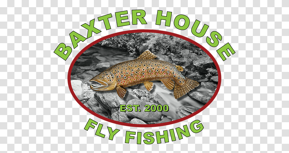 Baxter House Fly Fishing Logo Trout, Animal, Coho Transparent Png