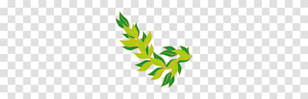 Bay Art, Leaf, Plant, Flower, Potted Plant Transparent Png