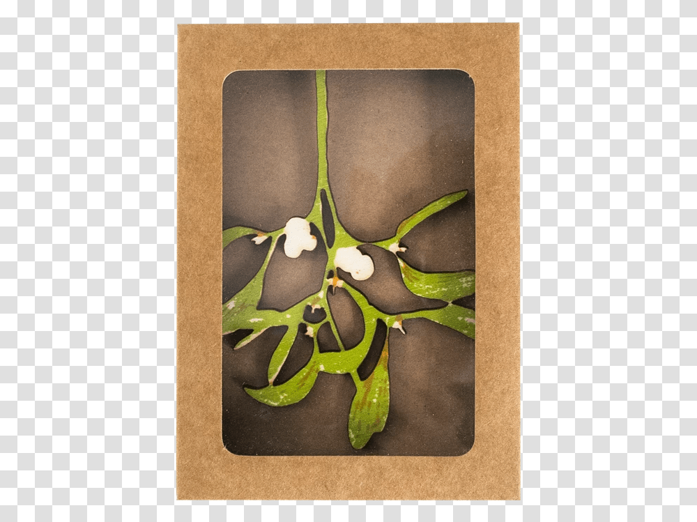 Bay Laurel, Bird, Plant, Poster, Advertisement Transparent Png