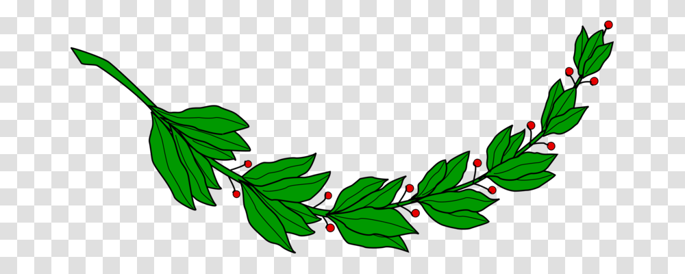 Bay Laurel Leaf Laurel Wreath Branch Roman Triumph, Plant, Green Transparent Png