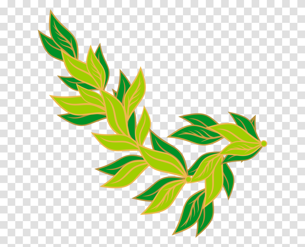 Bay Leaf Pimenta Racemosa Pickled Cucumber Cooking, Floral Design, Pattern Transparent Png