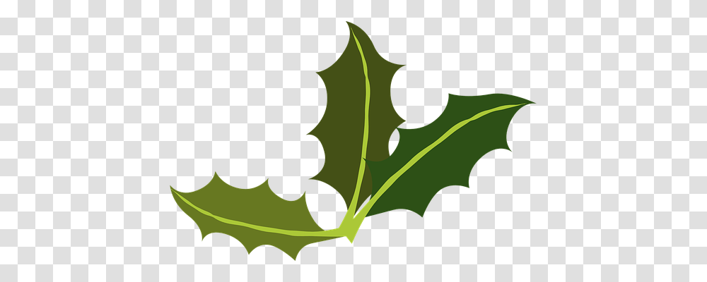 Bay Leafs Religion, Plant, Produce, Food Transparent Png