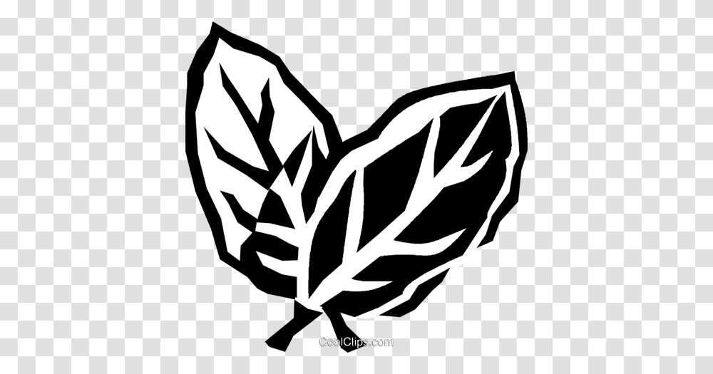 Bay Leaves Royalty Free Vector Clip Art Illustration, Leaf, Plant, Paper, Seed Transparent Png