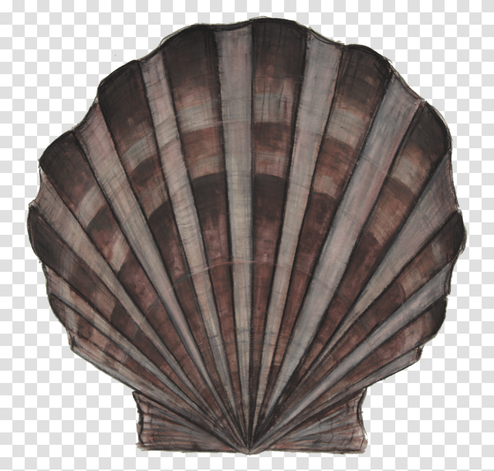 Bay Scallop Adoption Cornell Wood, Sea Life, Animal, Invertebrate, Lamp Transparent Png