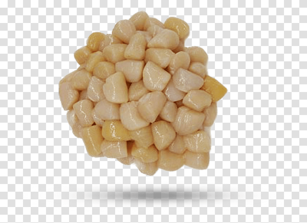 Bay Scallop Pebble, Plant, Sweets, Food, Confectionery Transparent Png