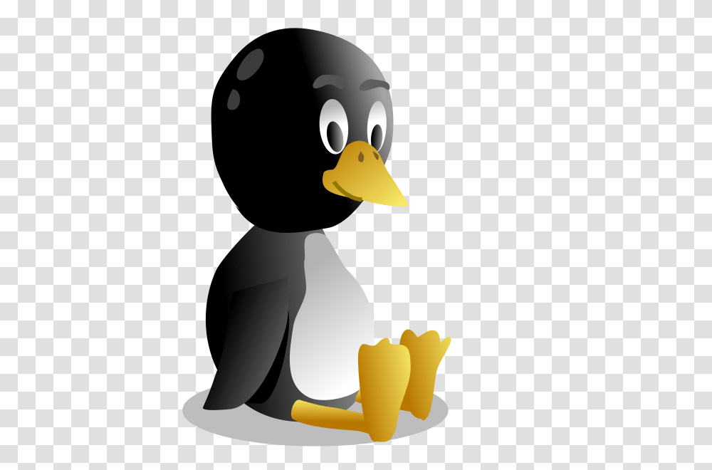 Bb Pingu Clip Arts For Web, Bird, Animal, Penguin, King Penguin Transparent Png