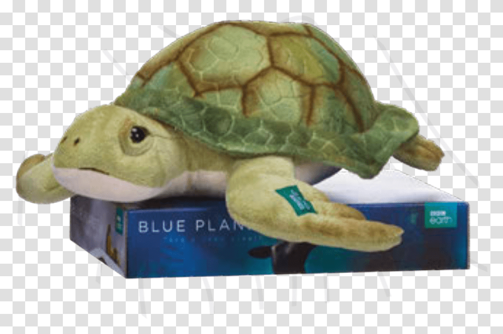 Bbc Blue Planet Turtle 30cm Kemp's Ridley Sea Turtle, Reptile, Sea Life, Animal, Tortoise Transparent Png