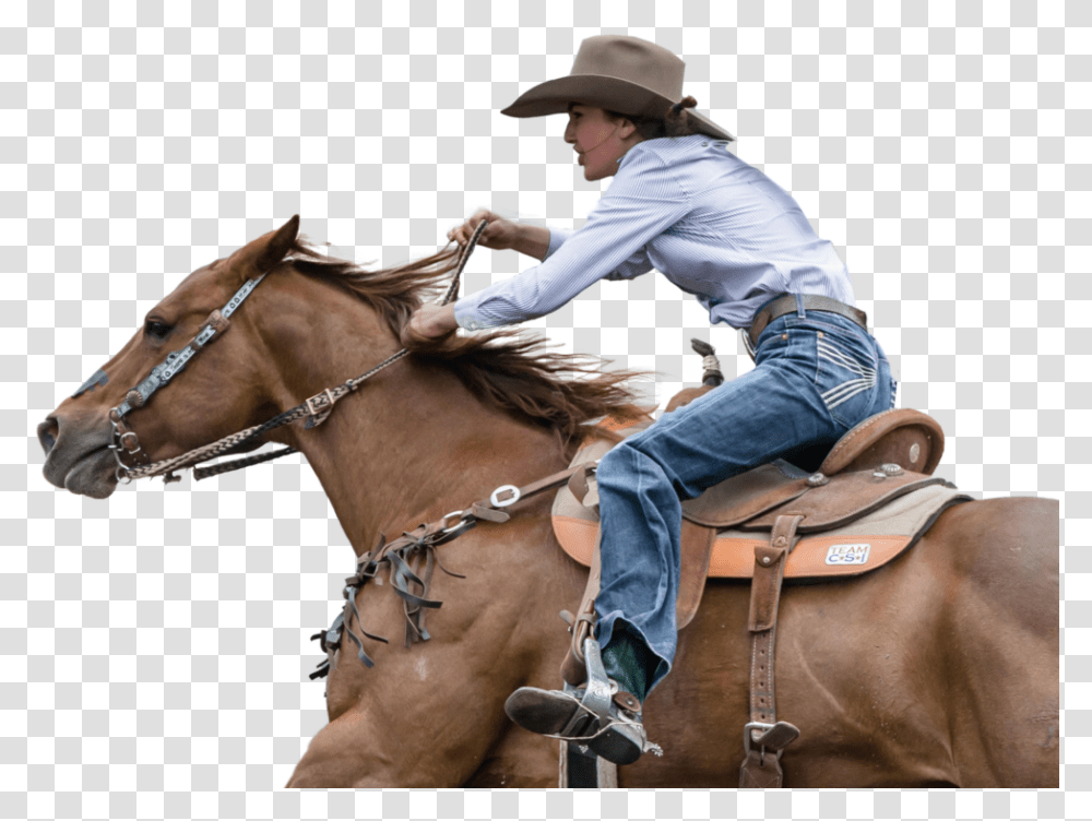 Bc High School Rodeo, Person, Human, Horse, Mammal Transparent Png