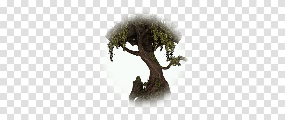 Bdo Arch Ruins Tree Knowledge Database Bdo Arch Ruins Tree, Potted Plant, Vase, Jar, Pottery Transparent Png