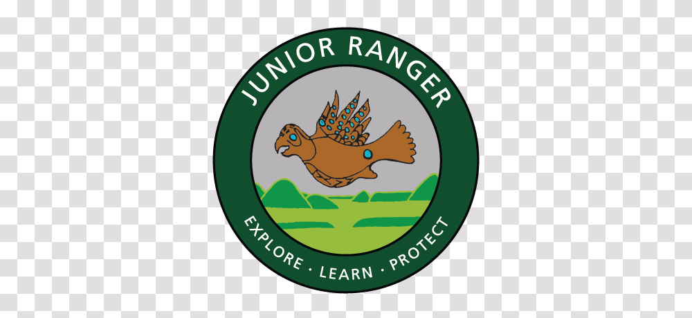 Be A Junior Ranger, Word, Label, Bird Transparent Png