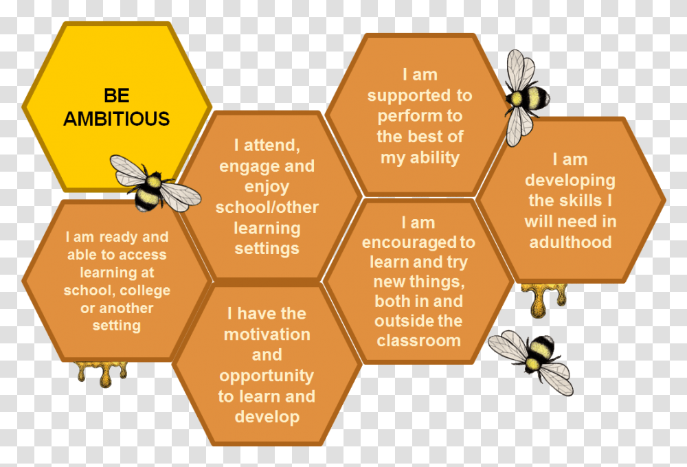 Be Ambitious Trans Hertfordshire Outcome Bees, Honeycomb, Food, Word Transparent Png