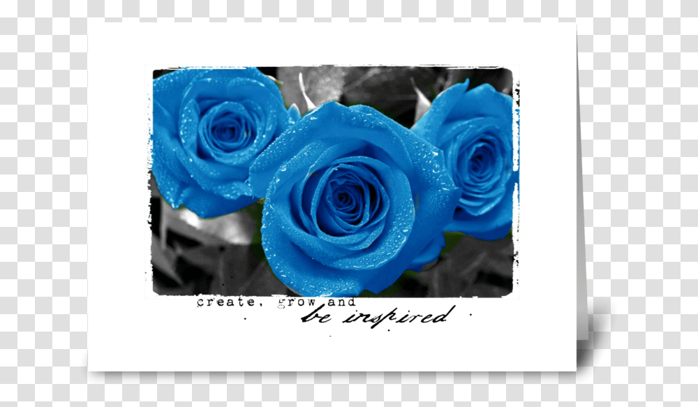 Be Inspired With Blue Roses Greeting Card Blue Roses Garden Background, Flower, Plant, Blossom, Flower Arrangement Transparent Png