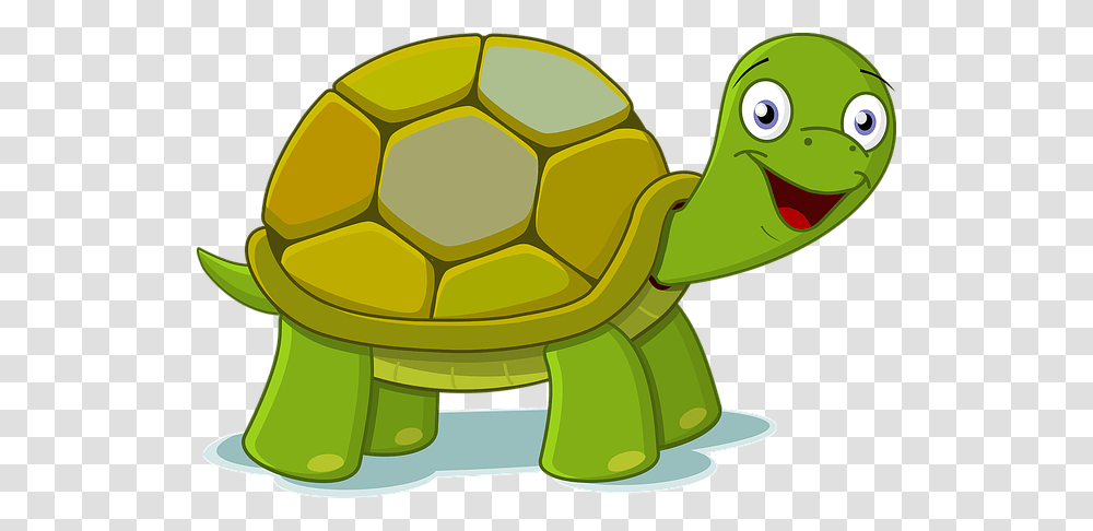 Be The Tortoise And Win The Weight Loss Race Stephen Carter, Animal, Helmet, Soccer Ball, Team Sport Transparent Png