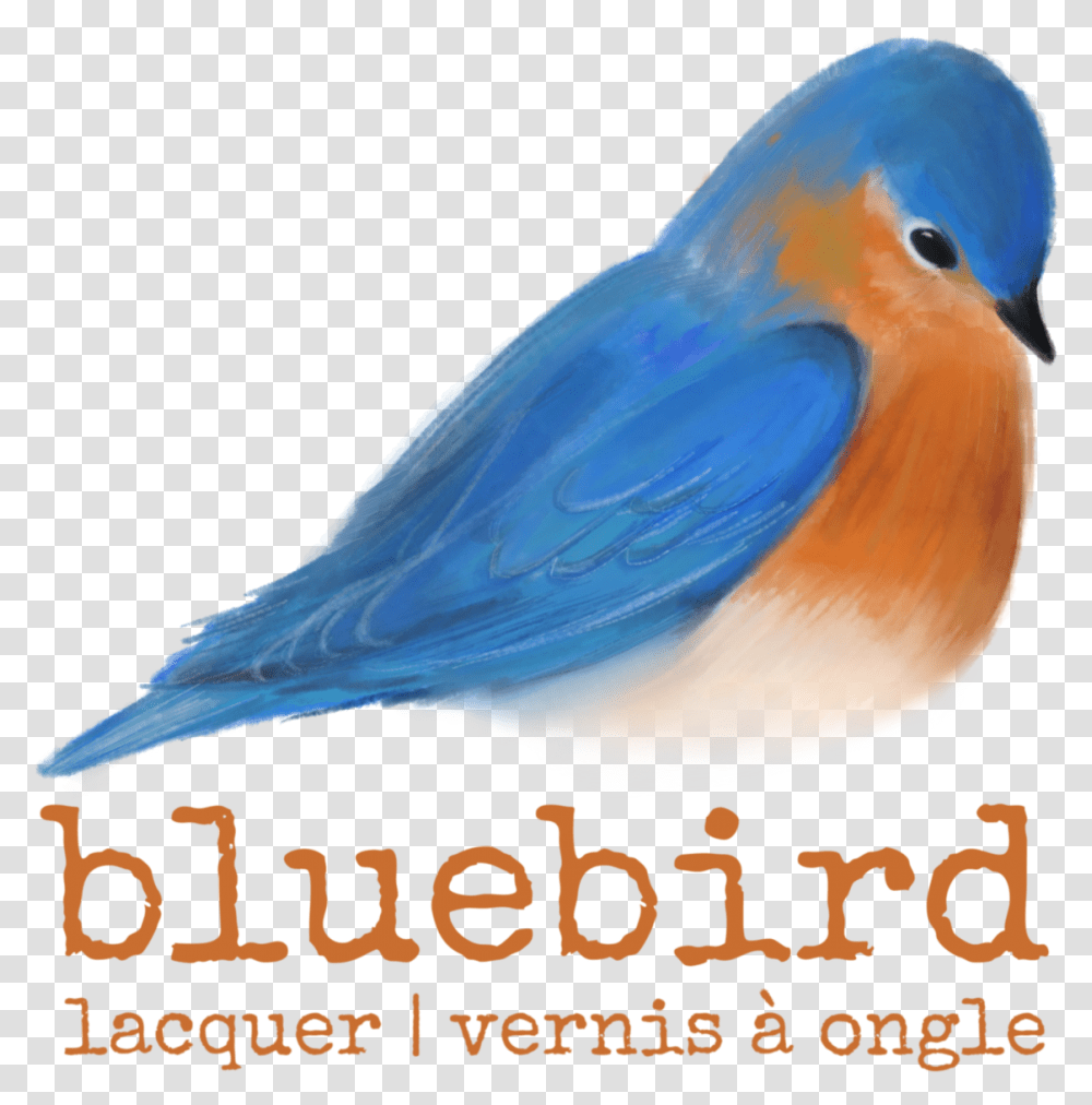 Be Yourself Express With Bluebird Lacquer Eastern Bluebird, Animal, Jay, Blue Jay, Finch Transparent Png