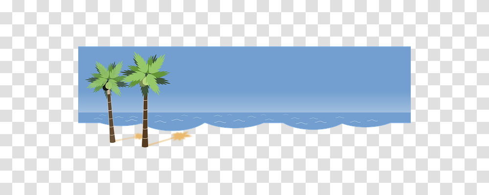 Beach Holiday, Tree, Plant, Conifer Transparent Png