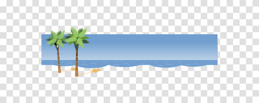 Beach Holiday, Tree, Plant, Conifer Transparent Png